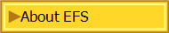 About EFS
